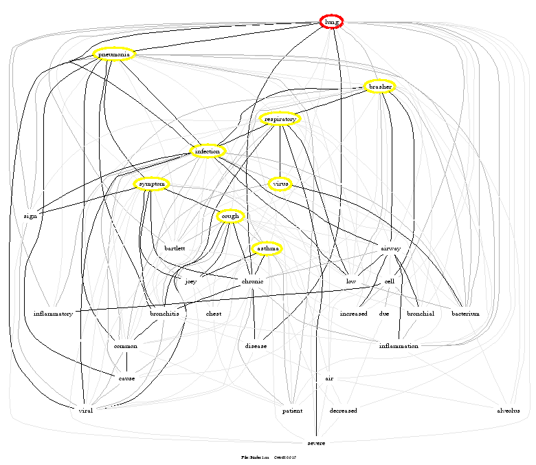 Copd Concept Map