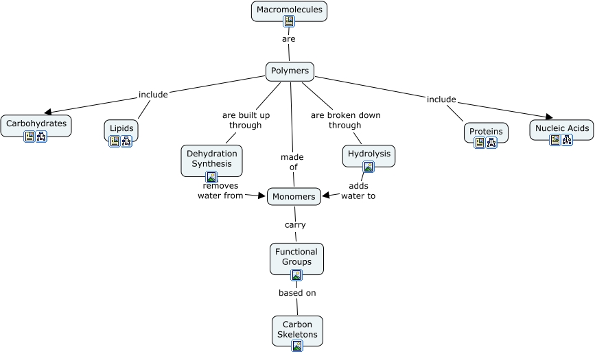 Macromolecules What chemicals are important to life and what are
