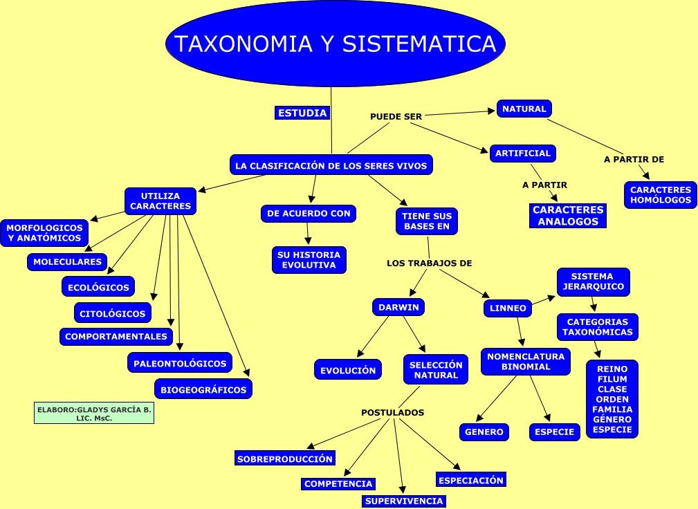 SISTEMATICA