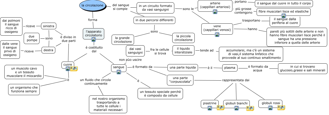 Mappe Sistema Circolatorio Libro Di Scuola