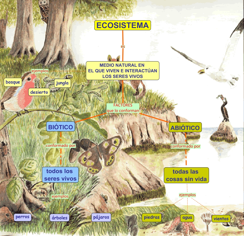 Ciencias Naturales Para 1 Y 2 ESO Ecosistemas