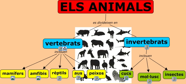 Esquema classificació animals
