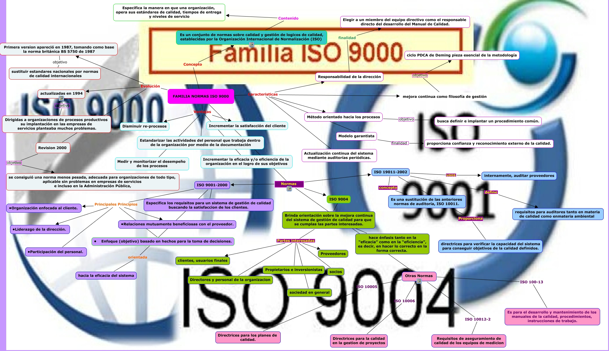 Familia Iso 9000 03 5293