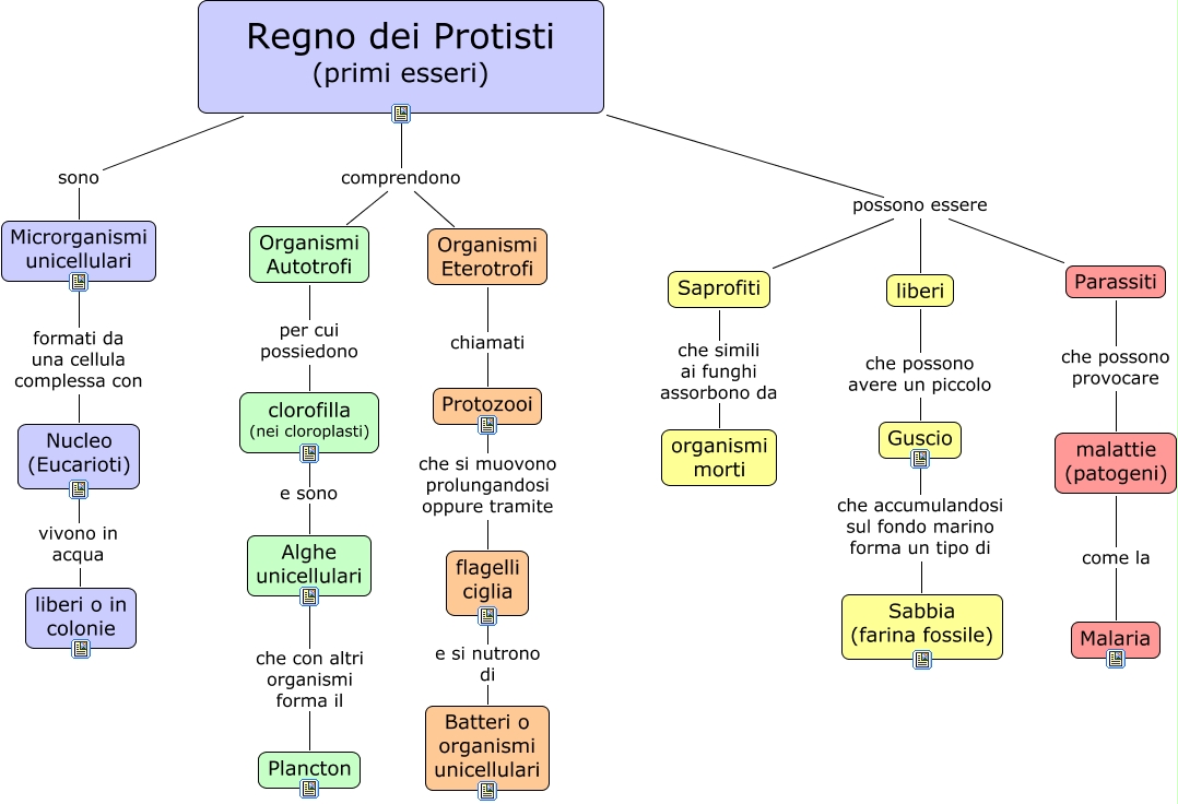 Protisti - il sito ufficiale degli studenti di medicina e chirurgia