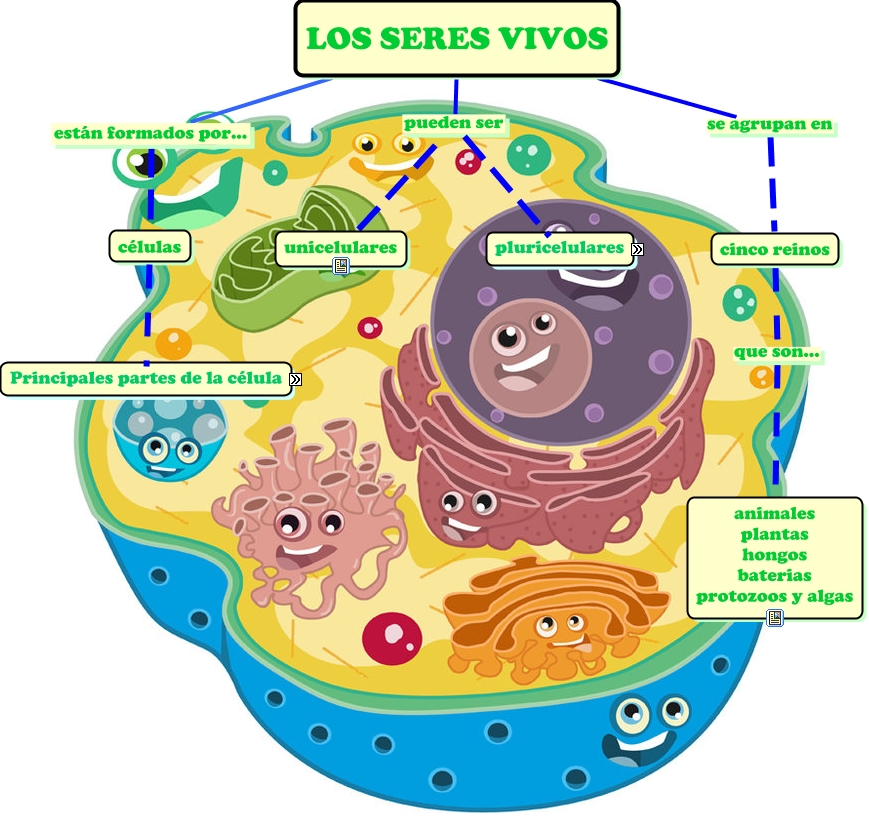 CARACTERÍSTICAS COMUNES DE LOS SERES VIVOS