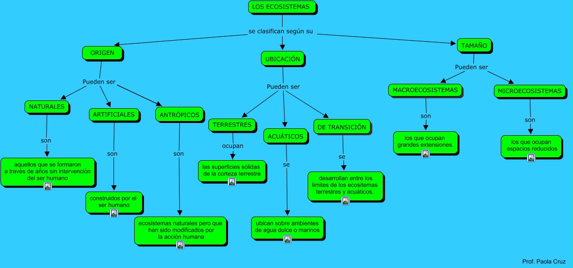 clasificación de los ecosistemas