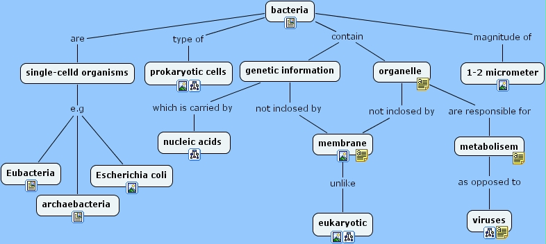 IHMC CmapTools - Concept Map :: Bacteria