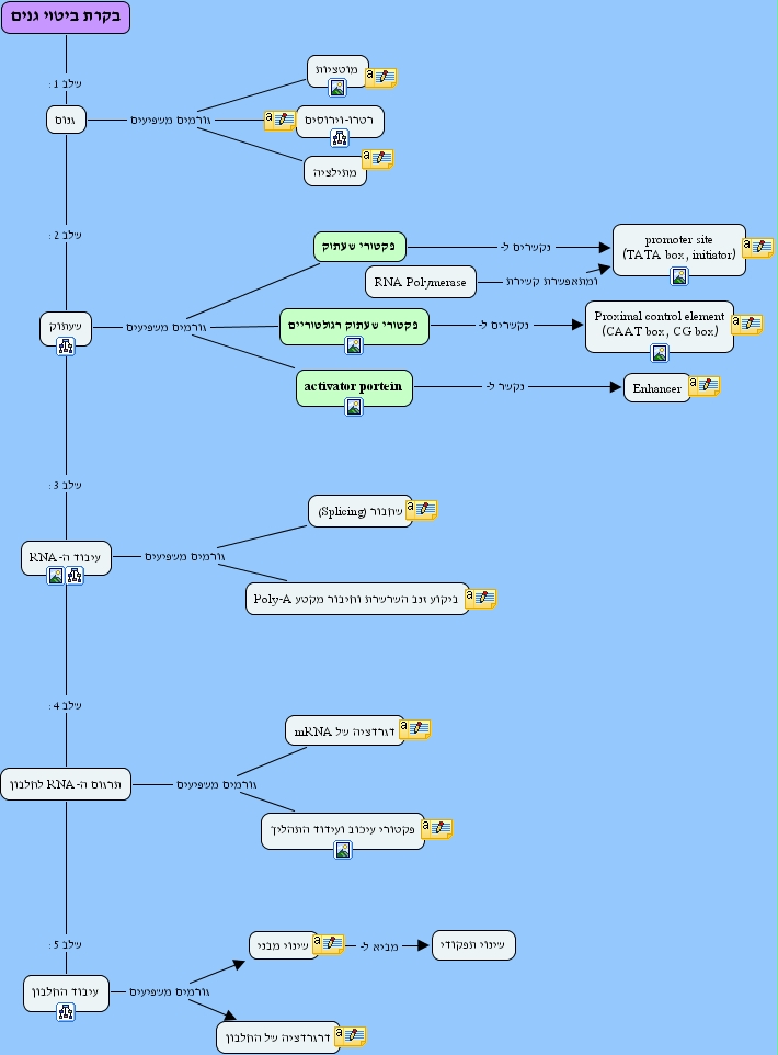IHMC CmapTools Concept Map Gene regulation