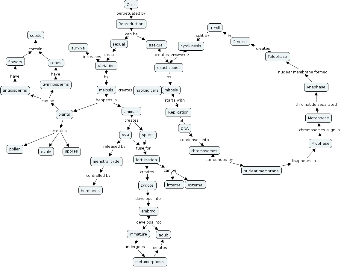 Reproduction_Map1 - What is the enduring understanding of reproduction?