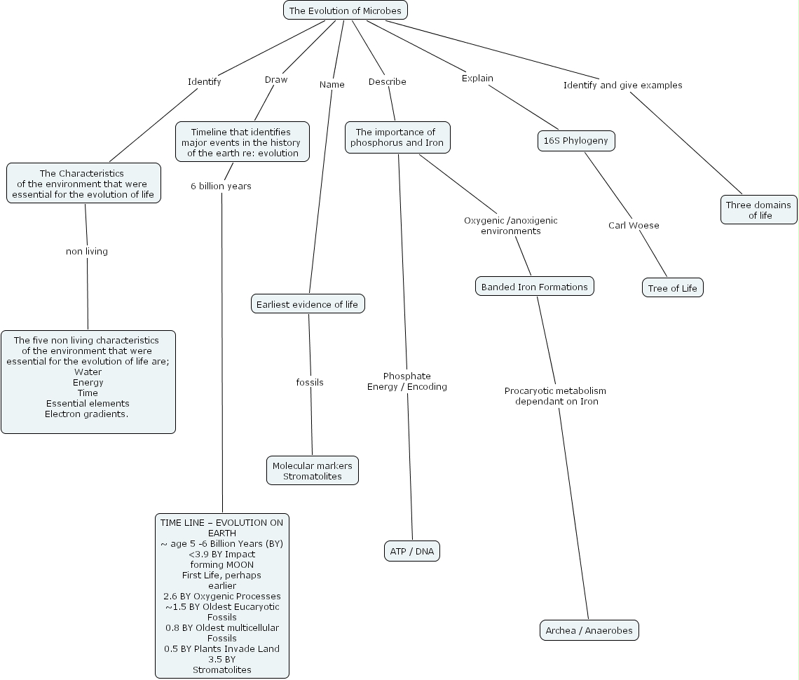 Ihmc Cmaptools Concept Map Evolution Of Microbes