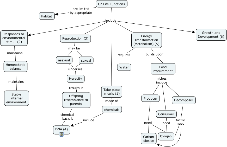 C2 Life Function
