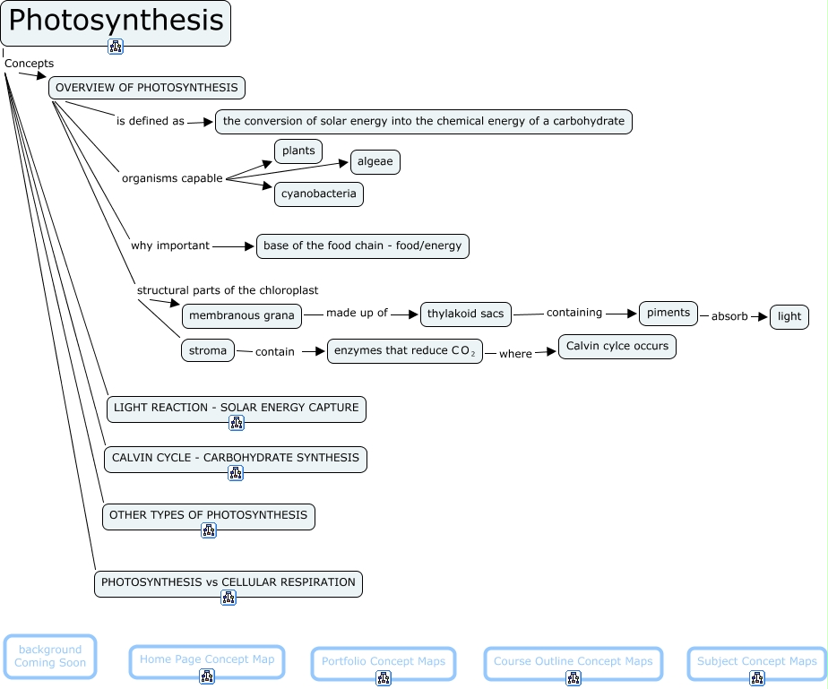 photosynthesis