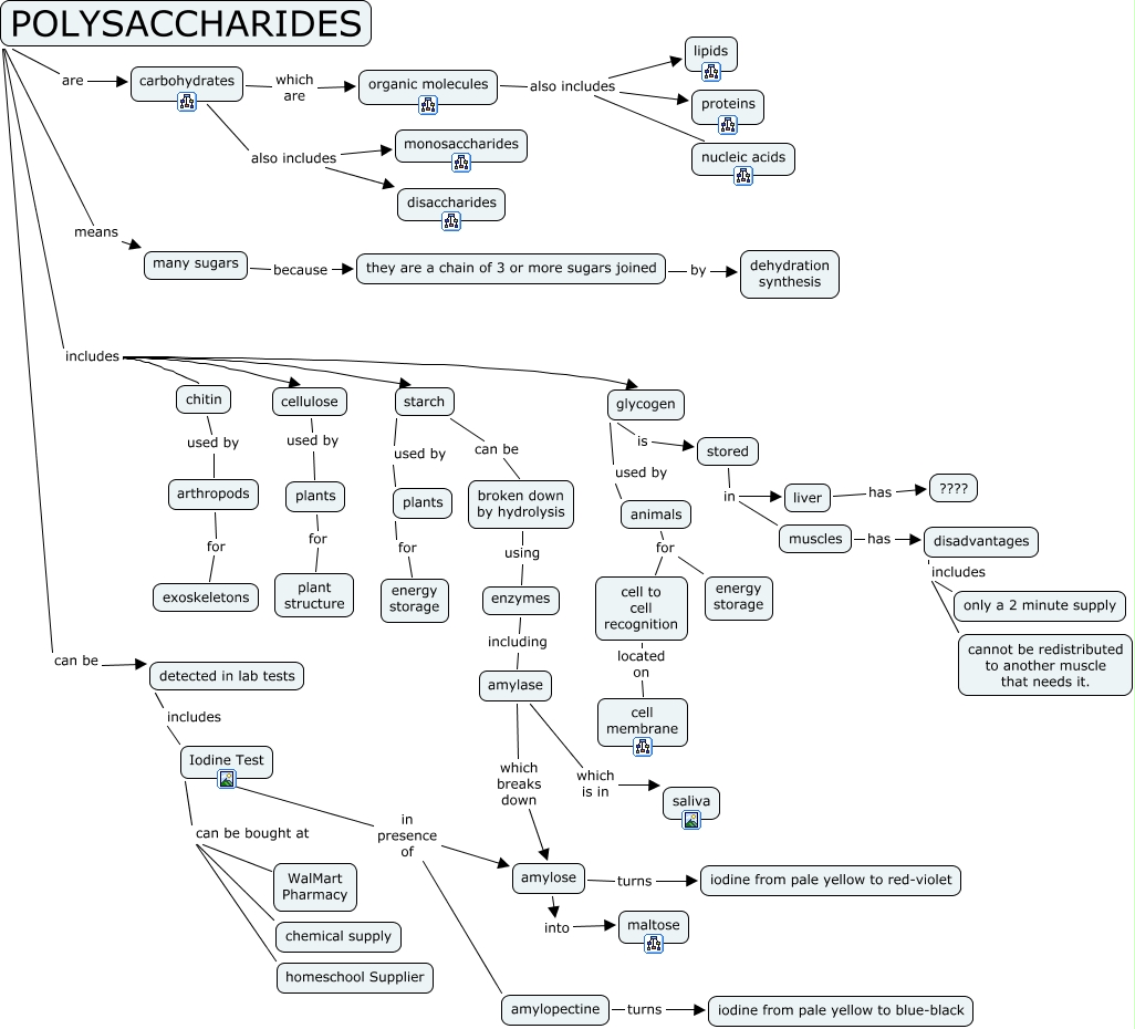 Polysaccharides