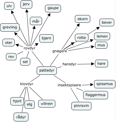 pattedyr