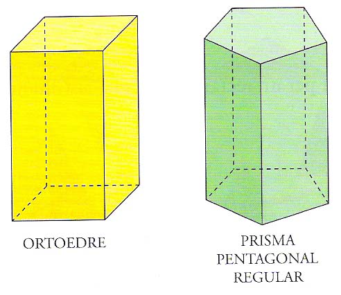 prismatica reversible