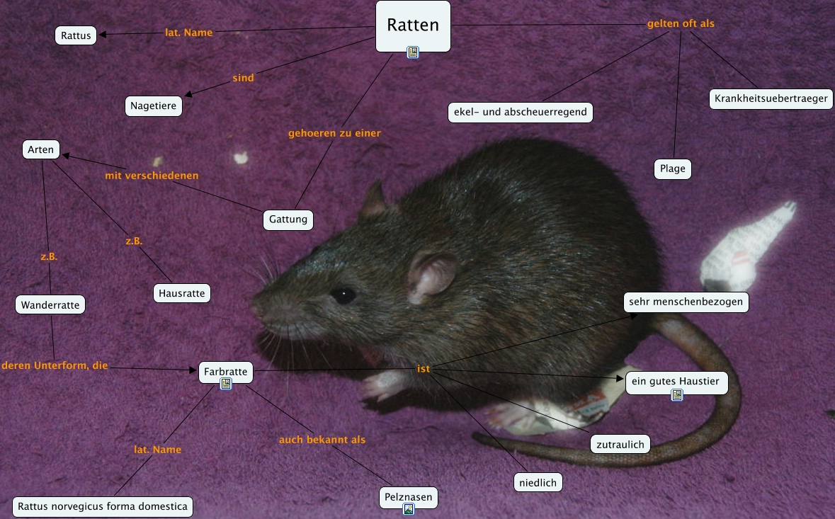 Ratten