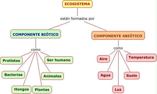 Ecosistema