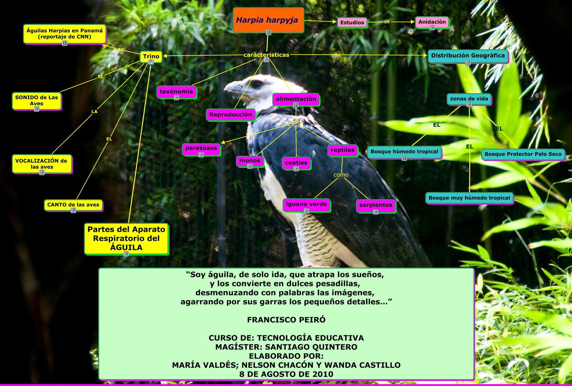 mapa multidisciplinario Aguila Harpia
