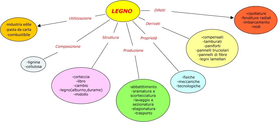 Legno Mappa Concettuale