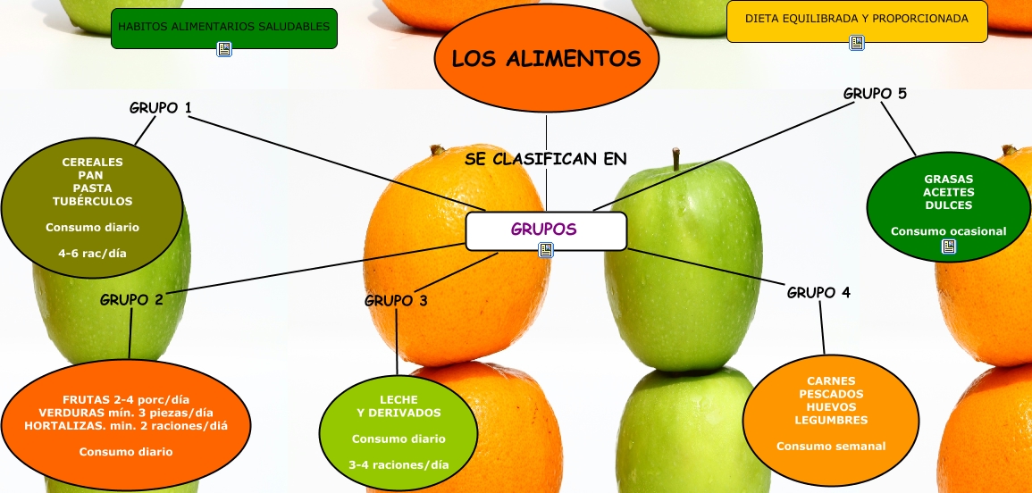 MAPA CONCEPTUAL LOS ALIMENTOS