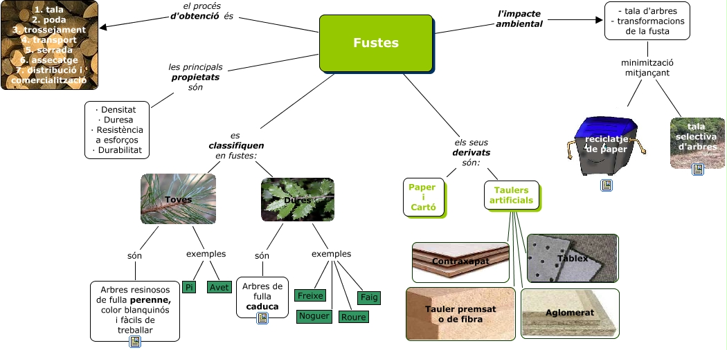 Fustes - Les fustes i els seus derivats.