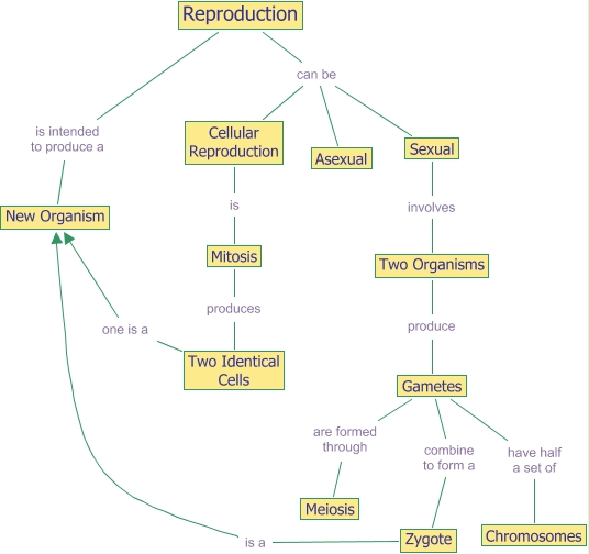 Reproduction