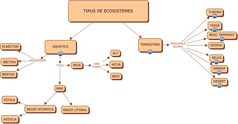 TIPUS D'ECOSISTEMES
