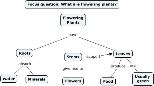 Flowering plants