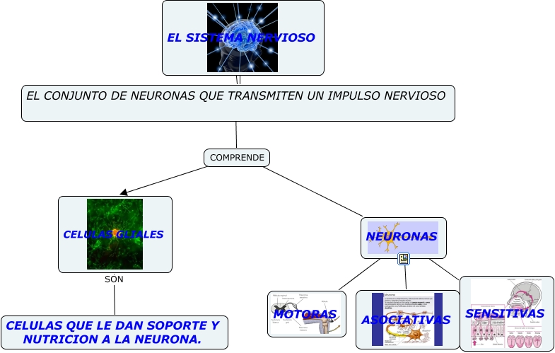 MAPA CONCEPTUAL SOBRE LAS NEURONAS