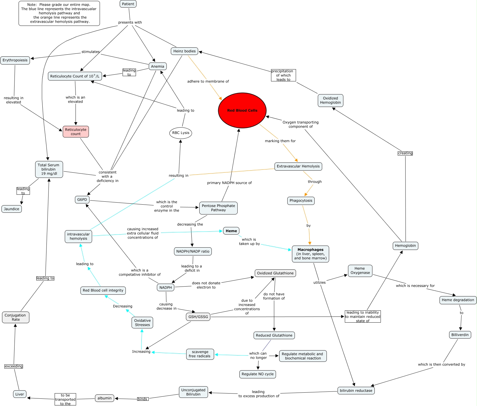 G6PD deficiency