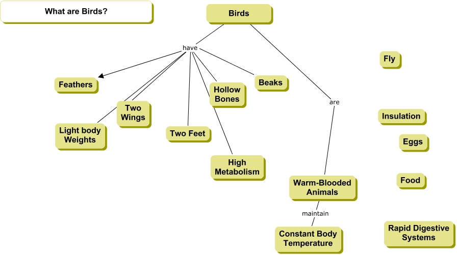 birds1