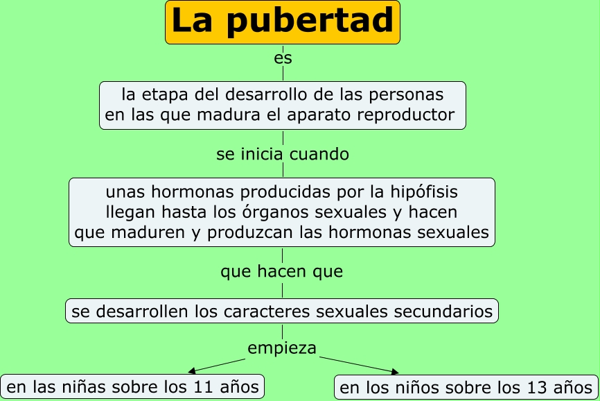 6 To Ciencias Naturales Clase #28 La Pubertad Menstruación Eyaculación. -  Lessons - Blendspace