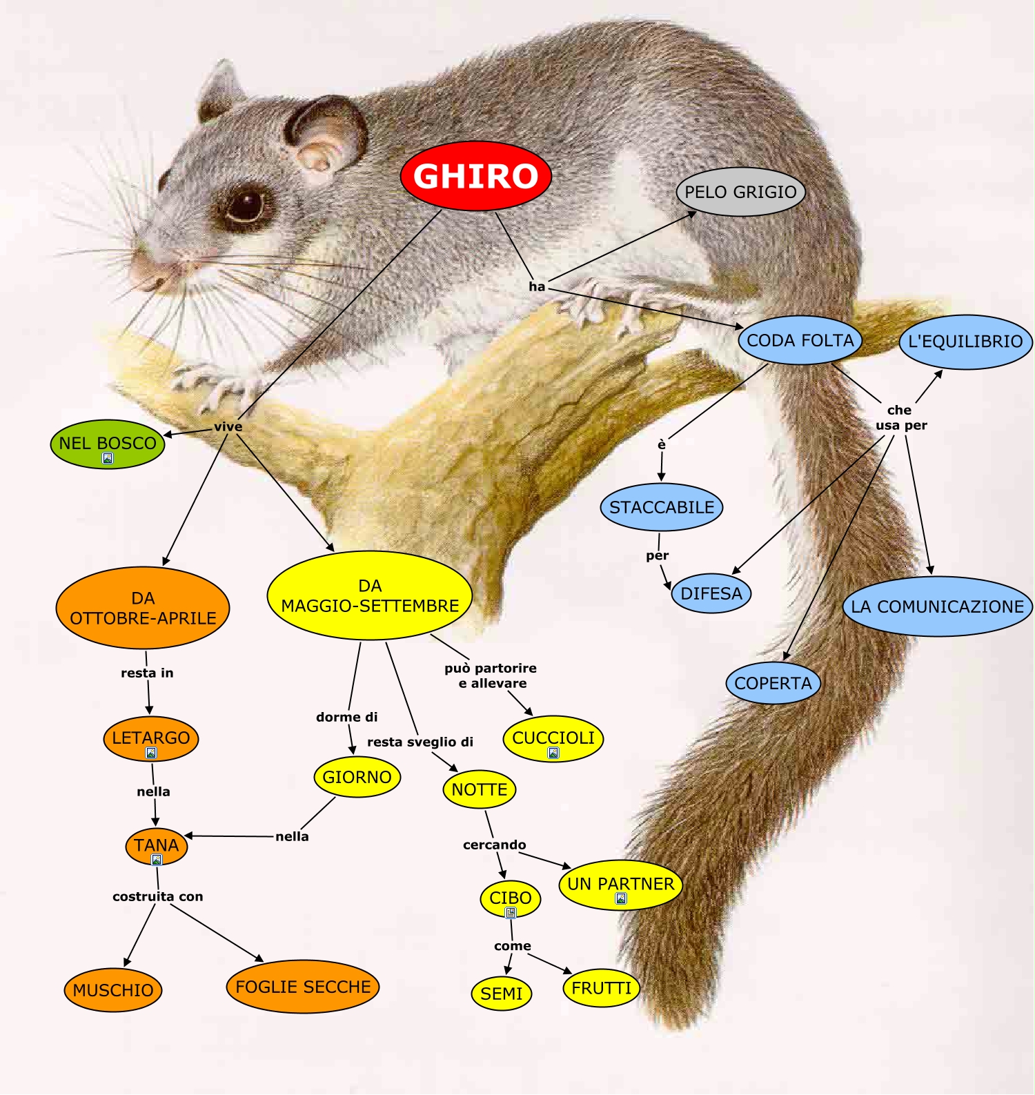 ghiro-lab2-gruppoB