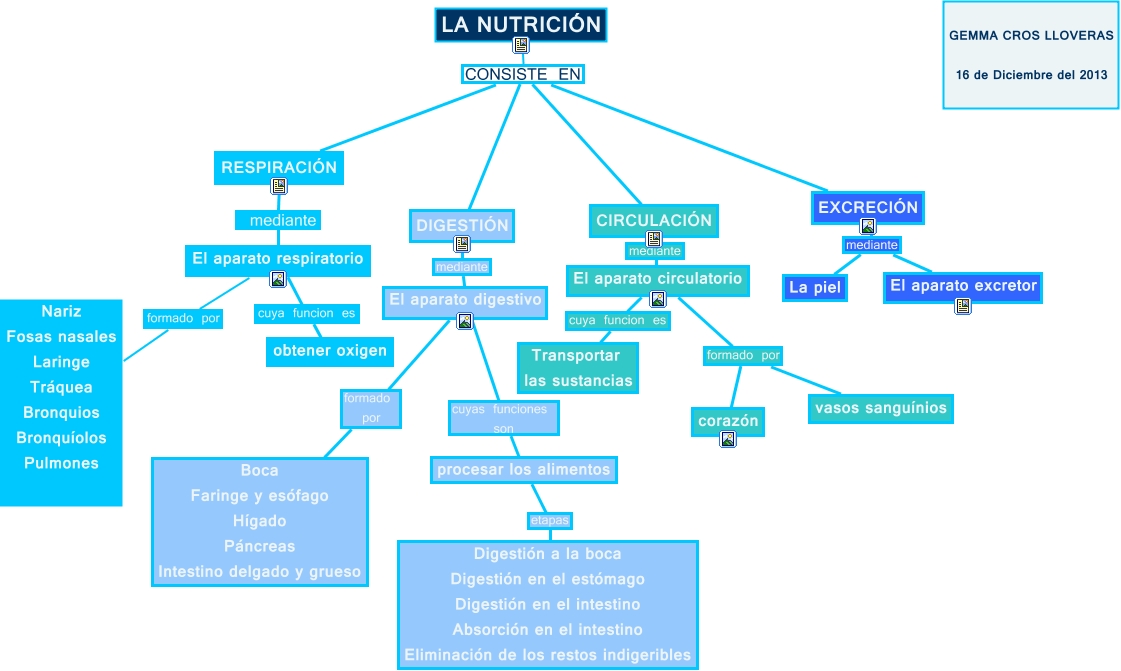 Mapa Conceptual La Nutrición Gemma Cros