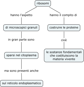 Ribosomi