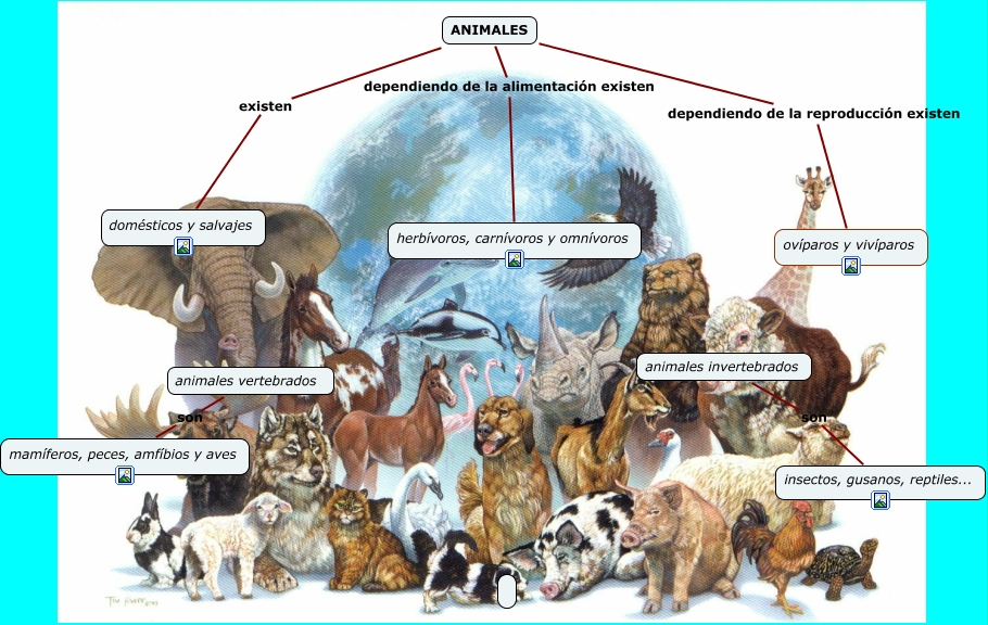 recursos - animales para primaria