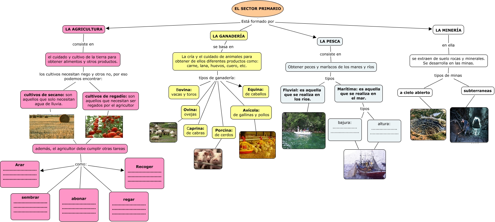 mapa conceptual 2 tema 10