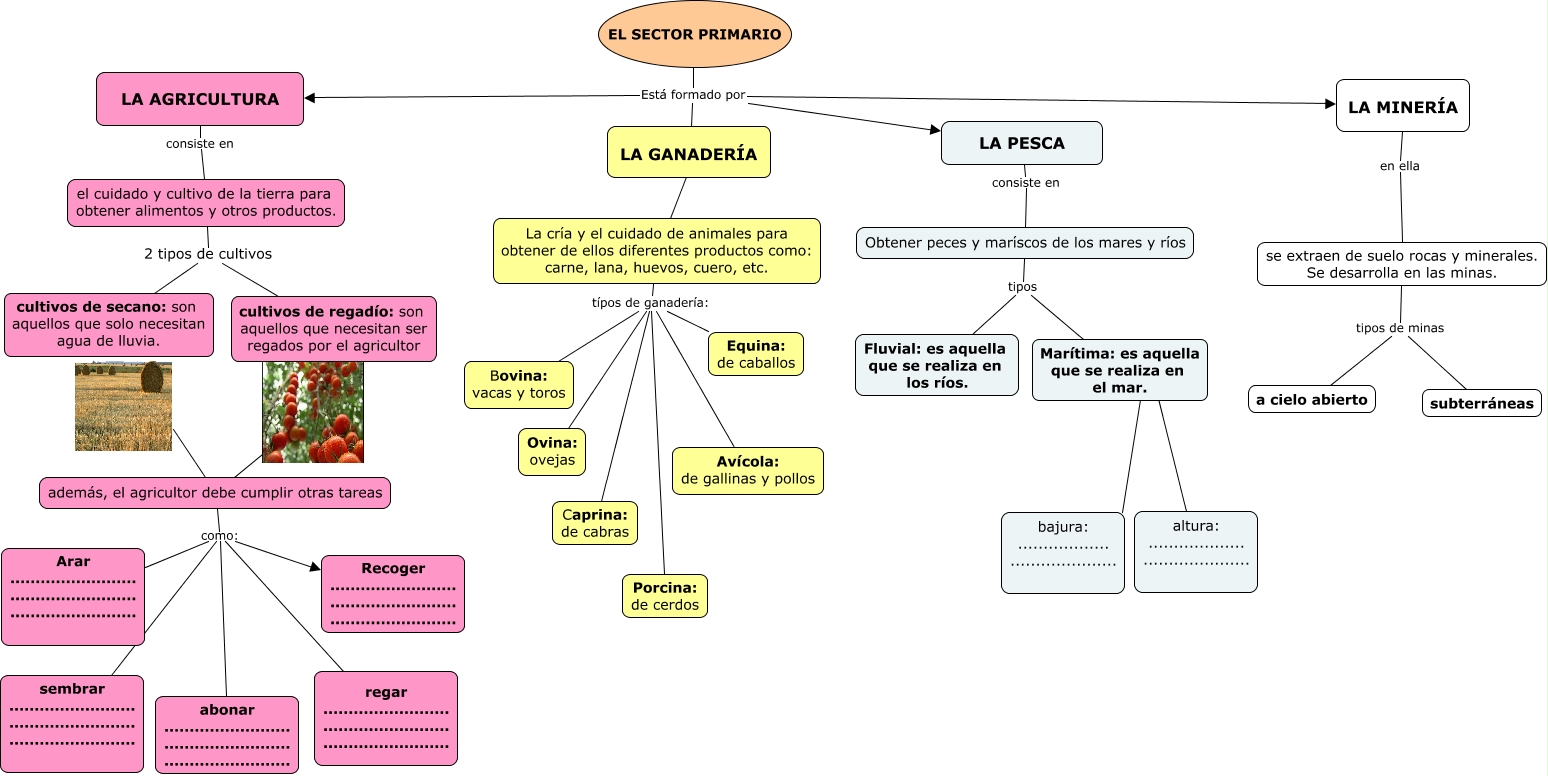 mapa conceptual 2 tema 10