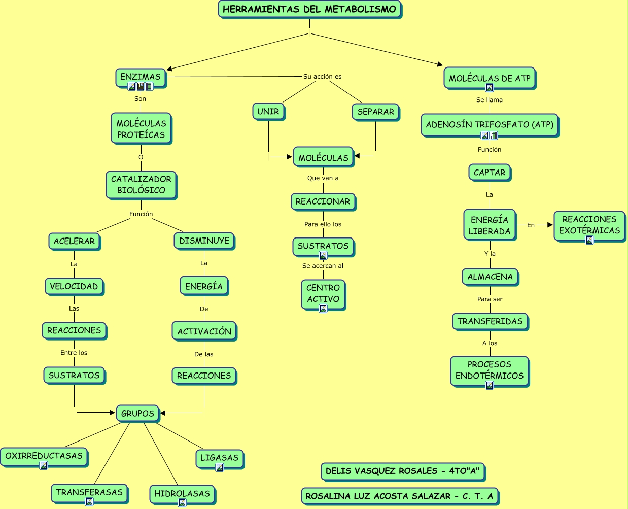 HERRAMIENTAS DEL METABOLISMO