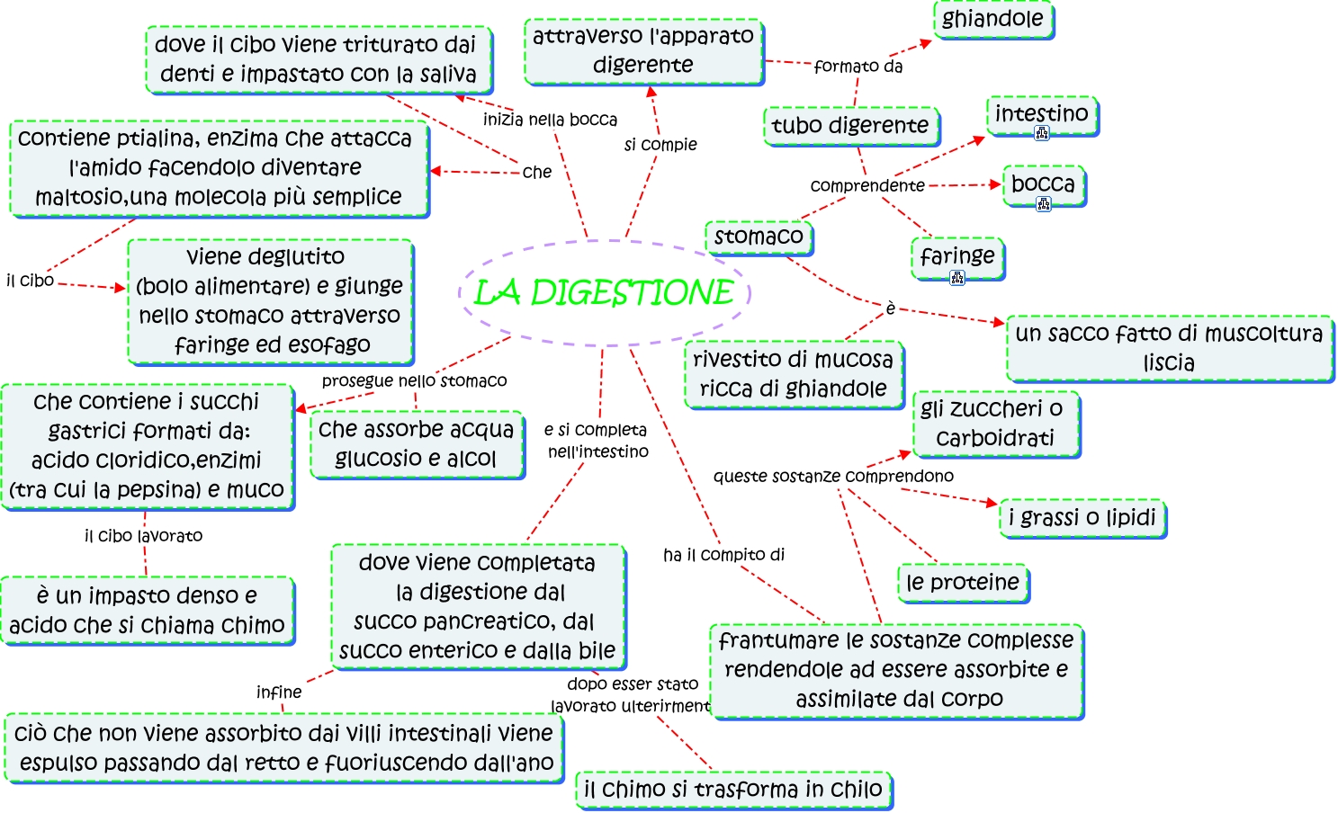 Digestione Mappa Concettuale