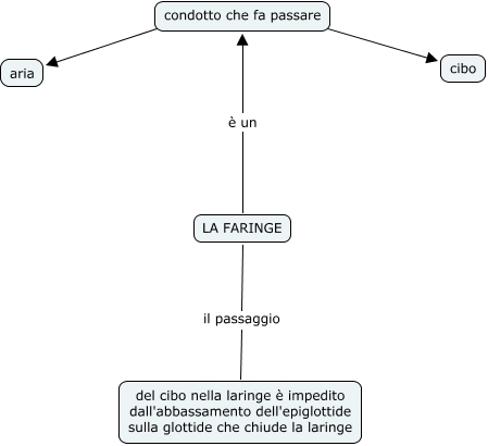 Feringe Mappa Concettuale