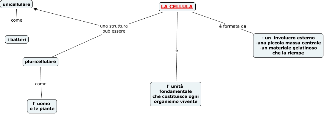 La Cellula Mappa Concettuale