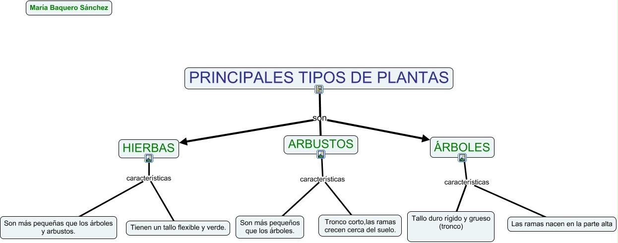 TIPOS PRINCIPALES DE PLANTA