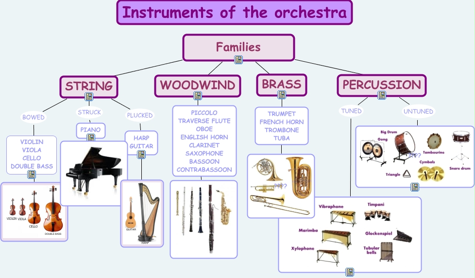 Instruments of the orchestra