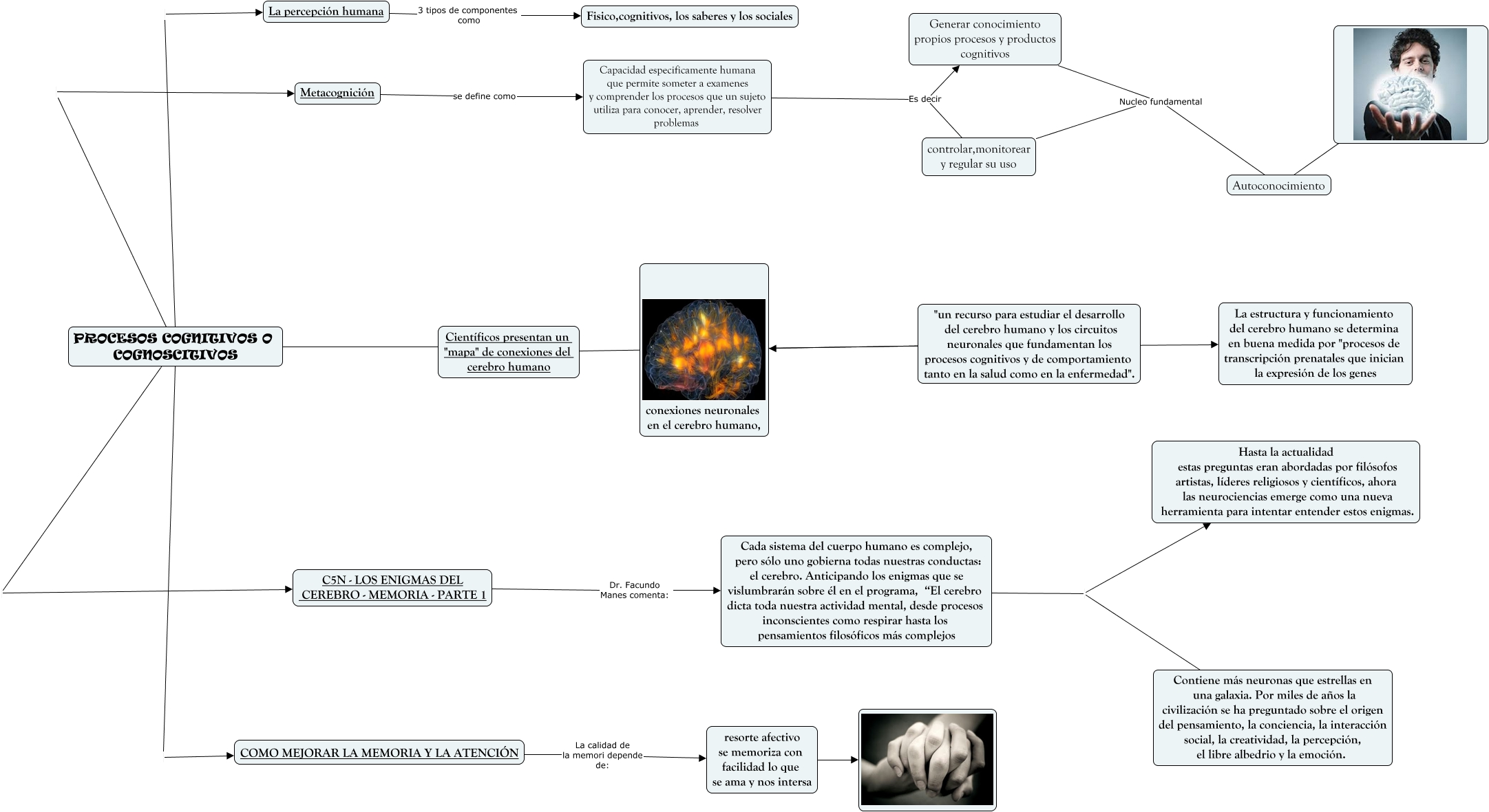 procesos cognitivos o cognositivos