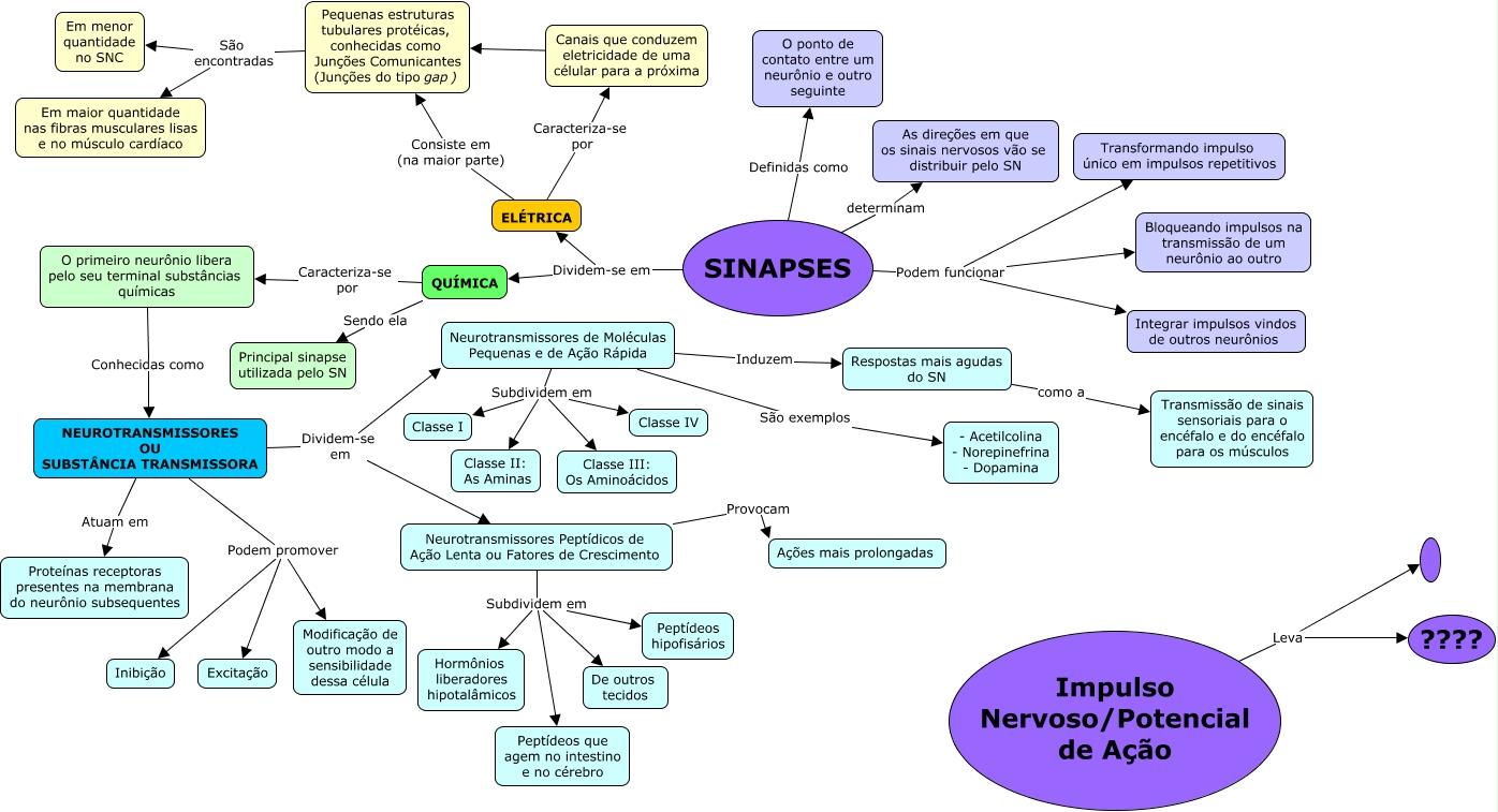 sinapse