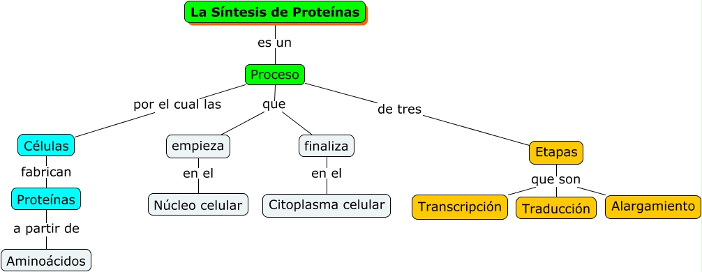 Síntesis de Proteínas