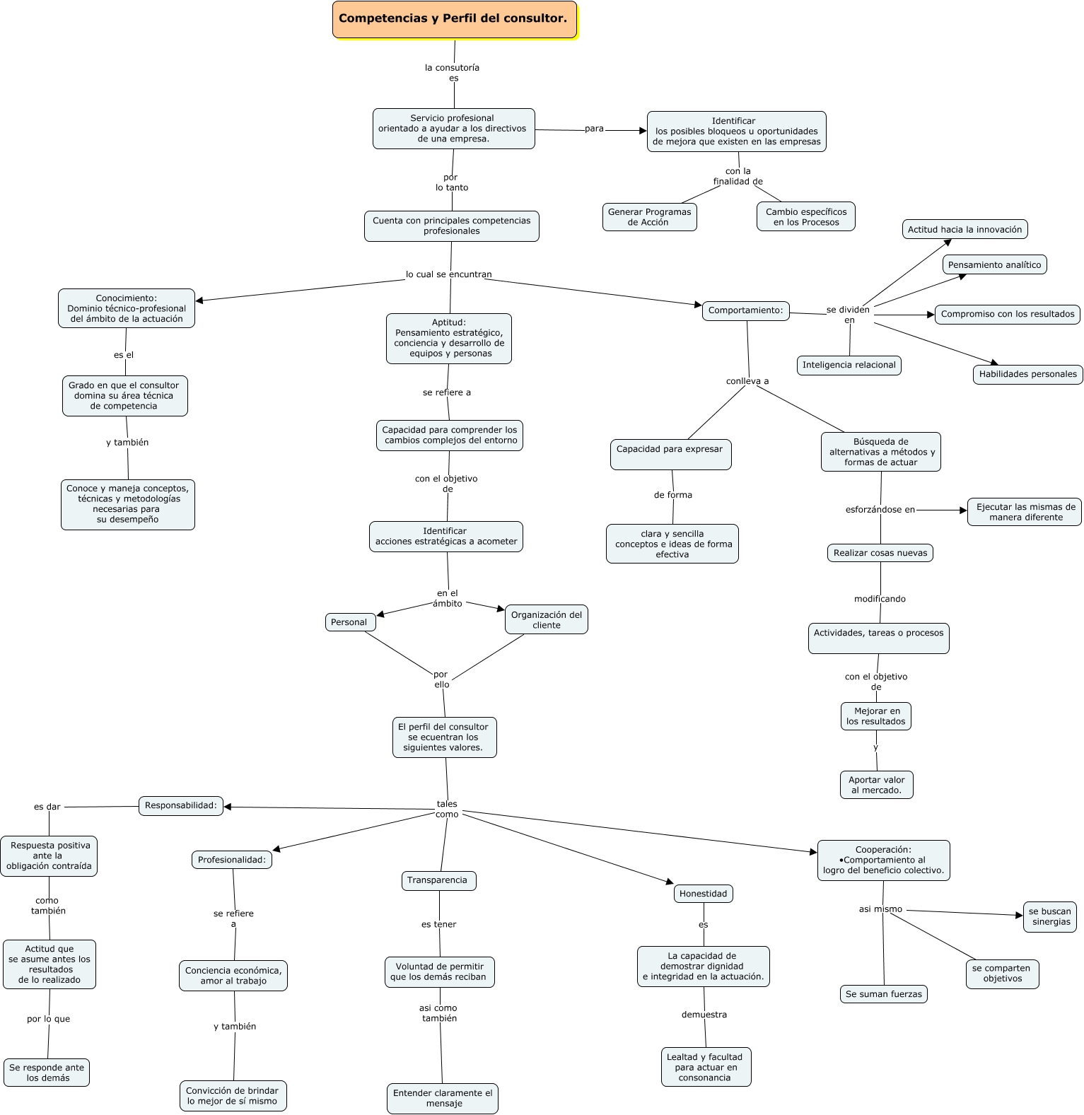 Mapa 1 Competencias y perfil del consultor
