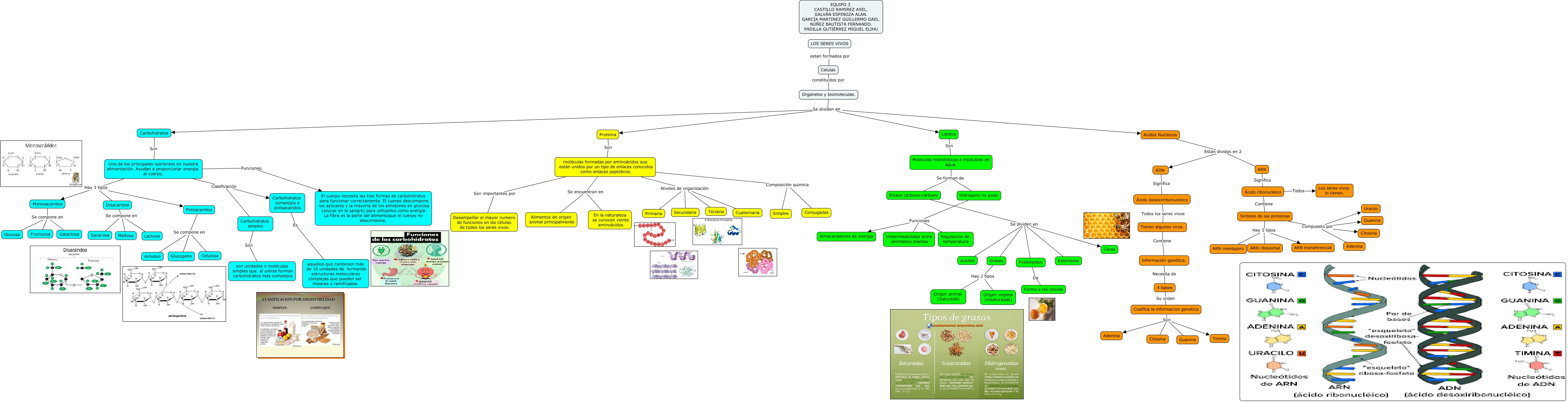 BIOMOLECULAS 1